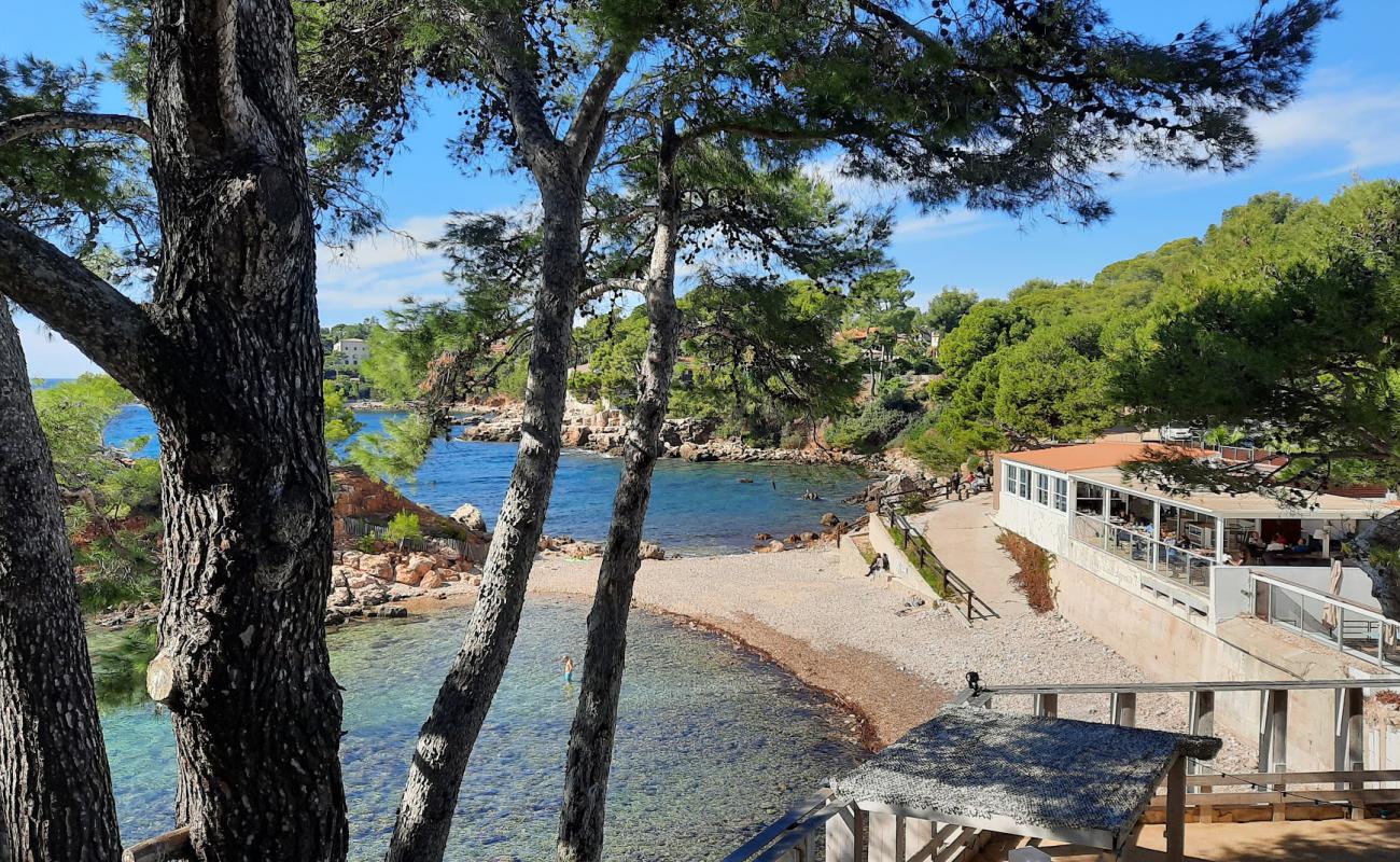 Photo of Le Mediterranee with rocks cover surface