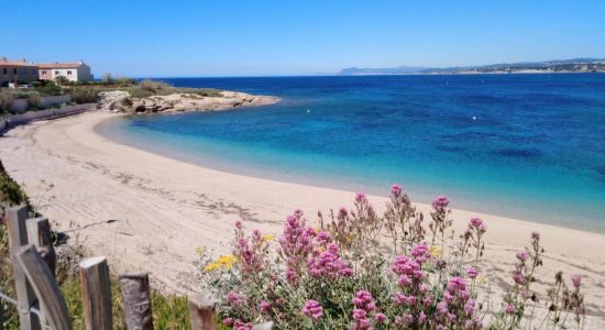 Girls in La Seyne-sur-Mer