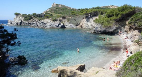 Plages Coucoussa