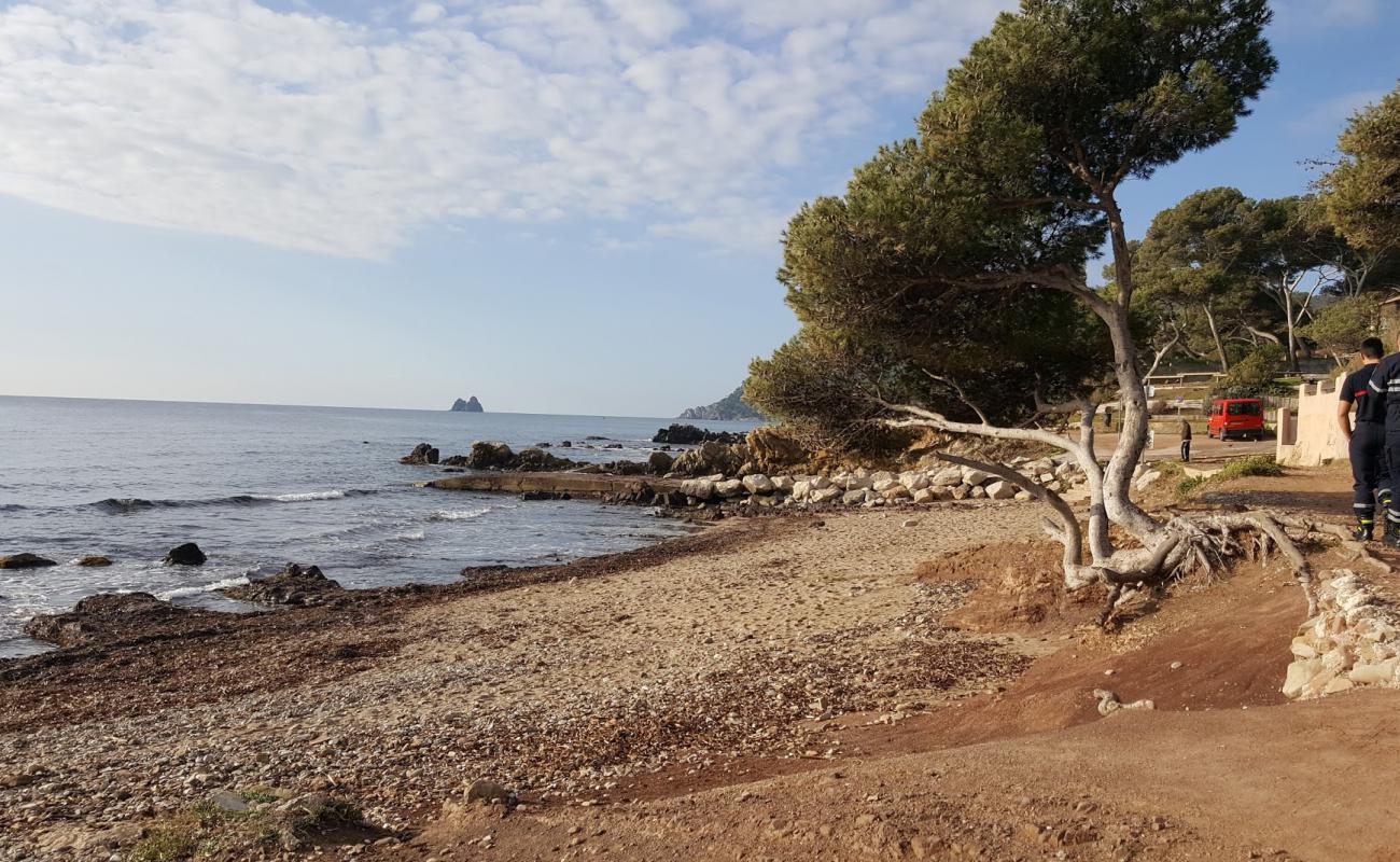 Photo of Plage de la Verne with brown pebble surface