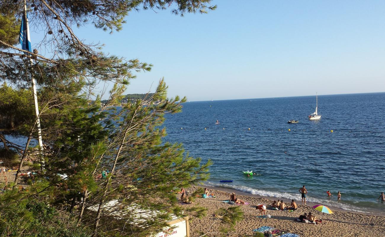 Photo of Plage du Monaco with brown sand surface