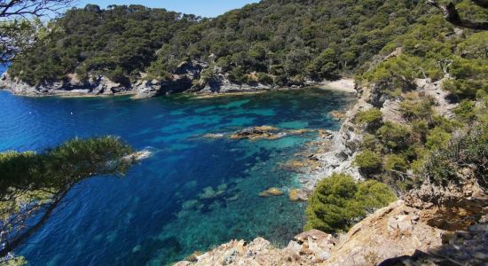 Plage d'Escampo-Barriou