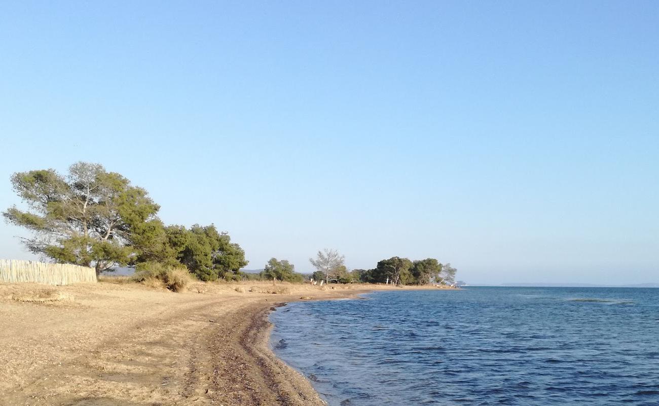 Photo of Plage des Vieux Salins with bright sand surface