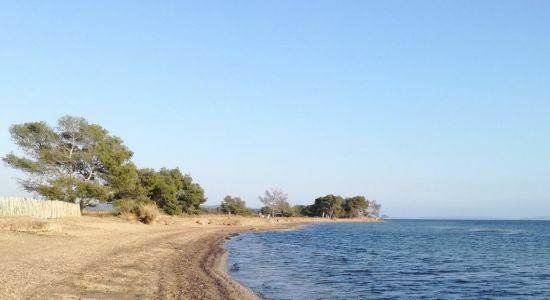 Plage des Vieux Salins