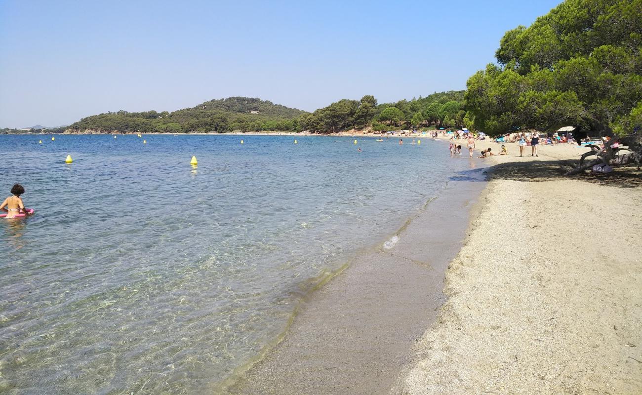 Photo of Pellegrin beach with bright sand surface