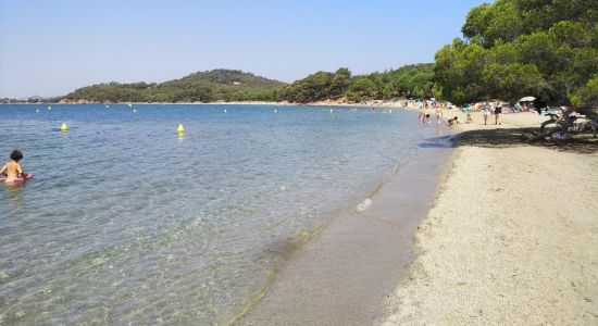 Pellegrin beach