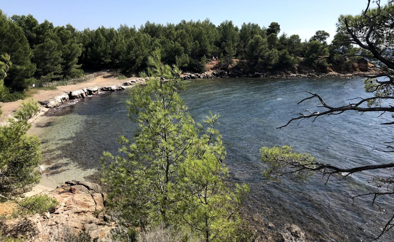 Photo of St. George's beach with rocks cover surface