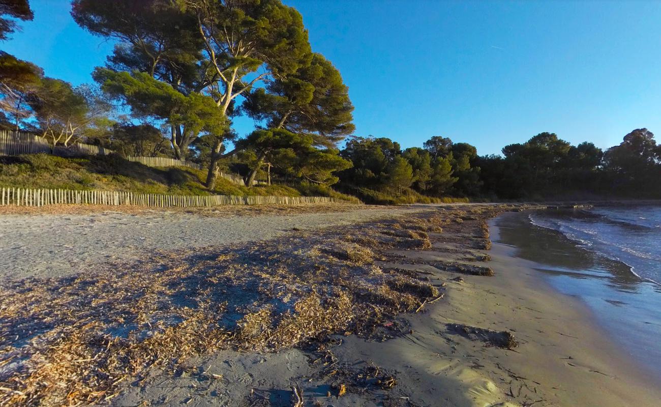 Photo of Leoube beach wild area