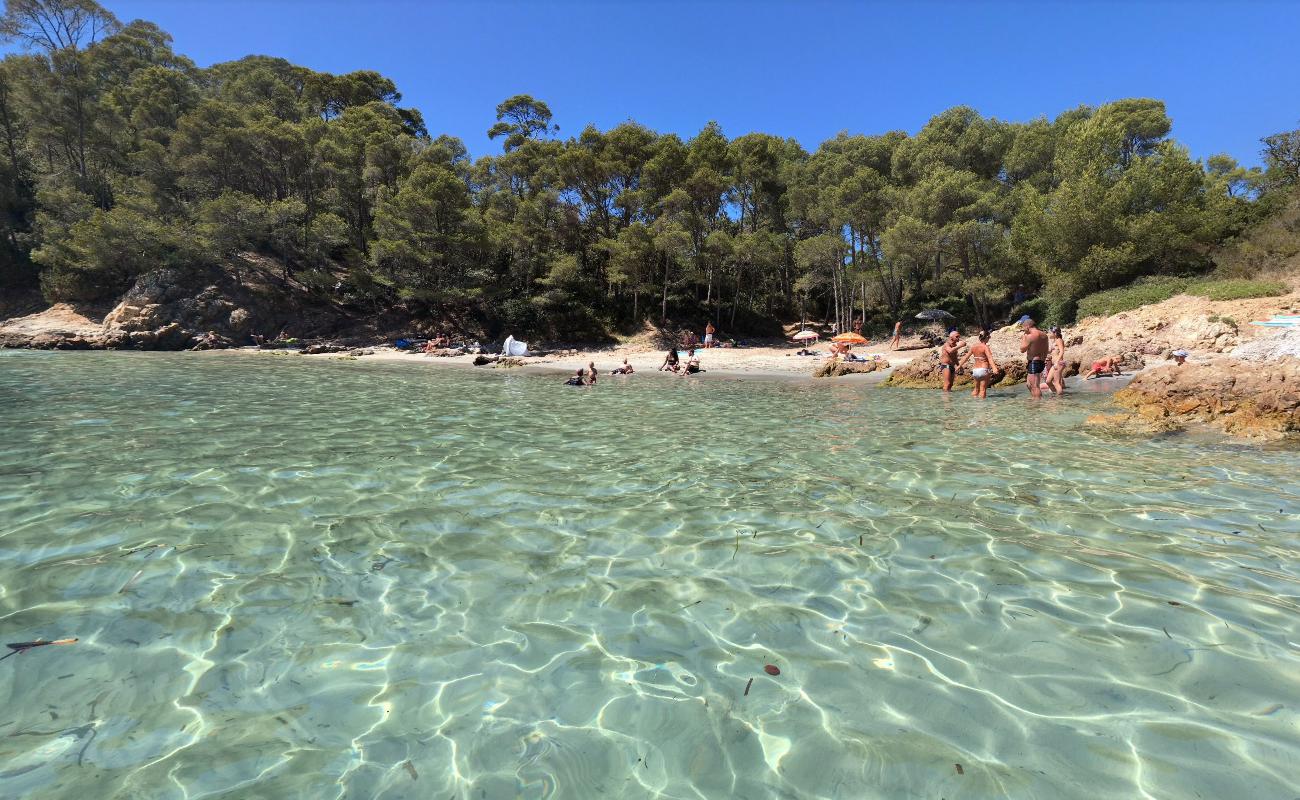 Photo of Cap Leoube beach with tiny multi bays