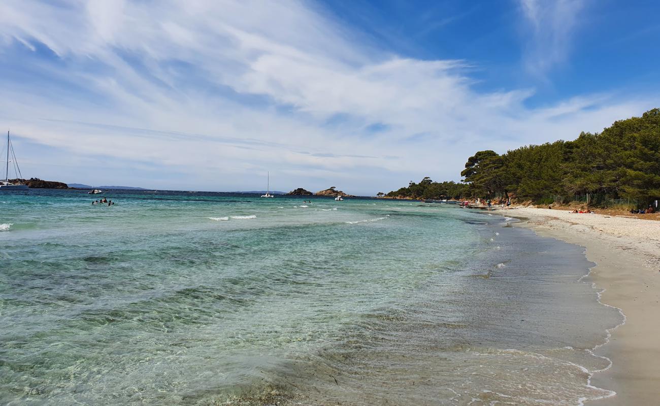 Photo of Large garden beach with white sand surface