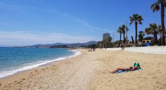 Lavandou Beach