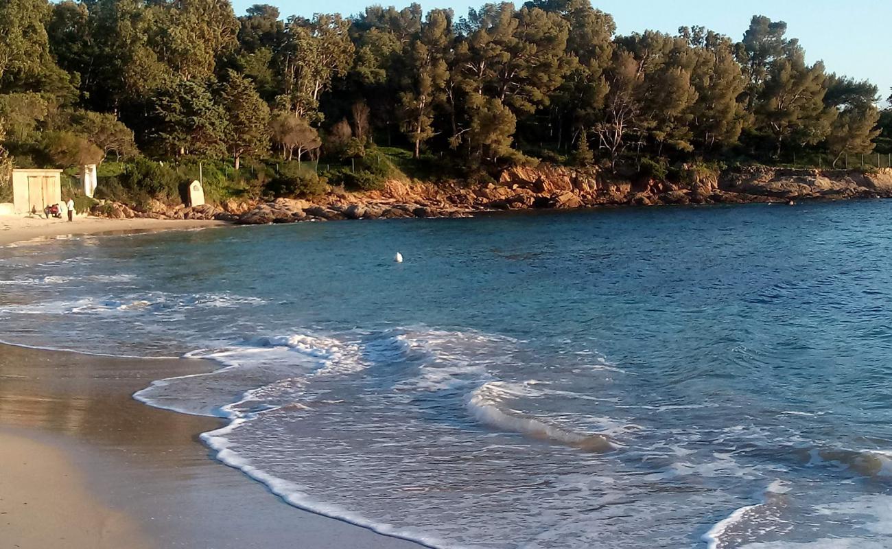 Photo of Dimple beach with white sand surface