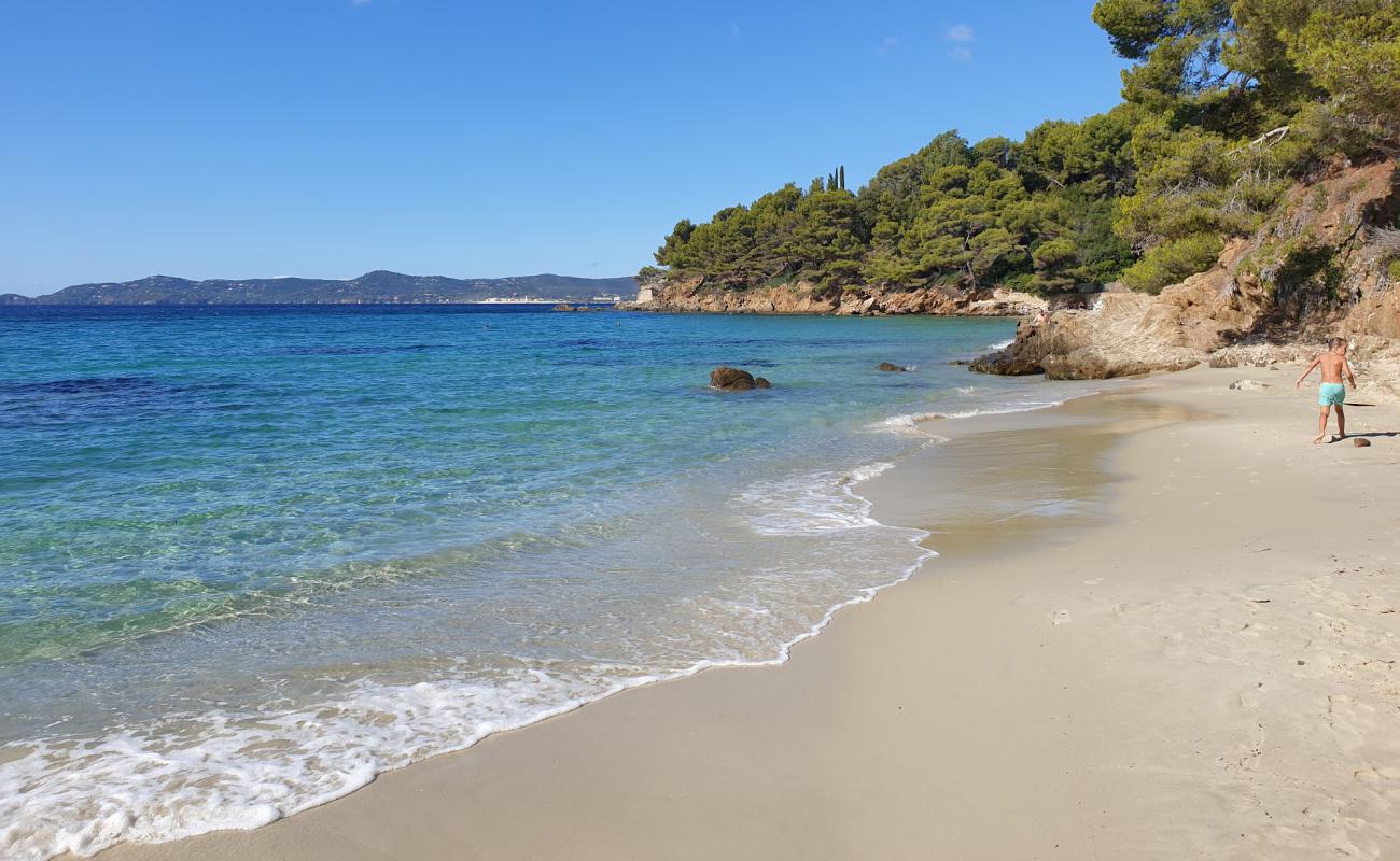 Photo of White Jean beach with bright sand surface