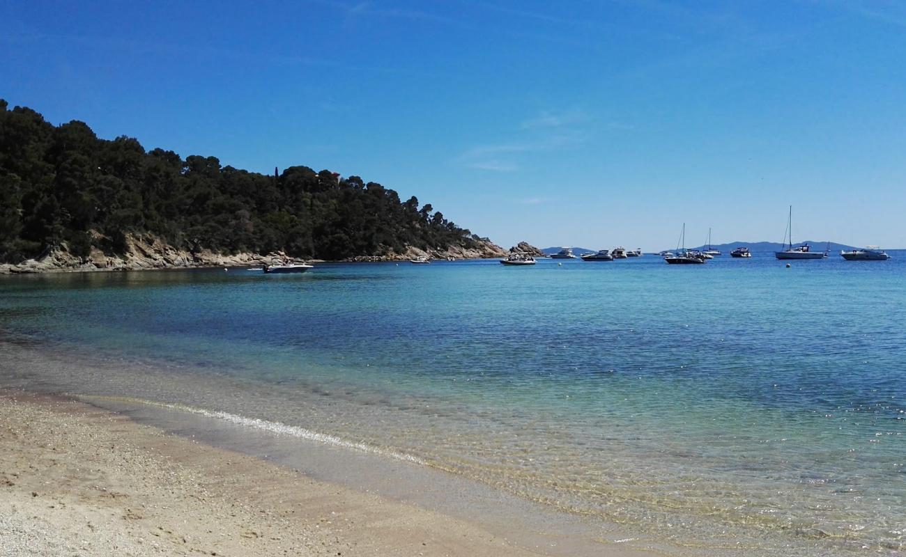 Photo of Cap Negre beach with bright sand surface