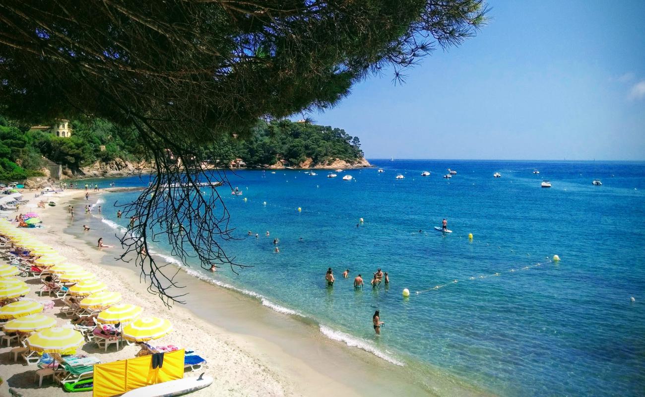 Photo of Canadel beach with bright sand surface