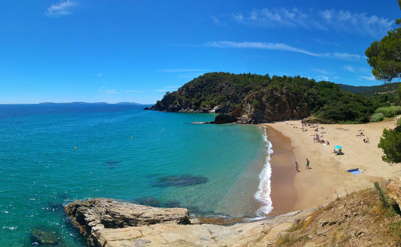 Photo of Bonporteau beach with bright fine sand surface