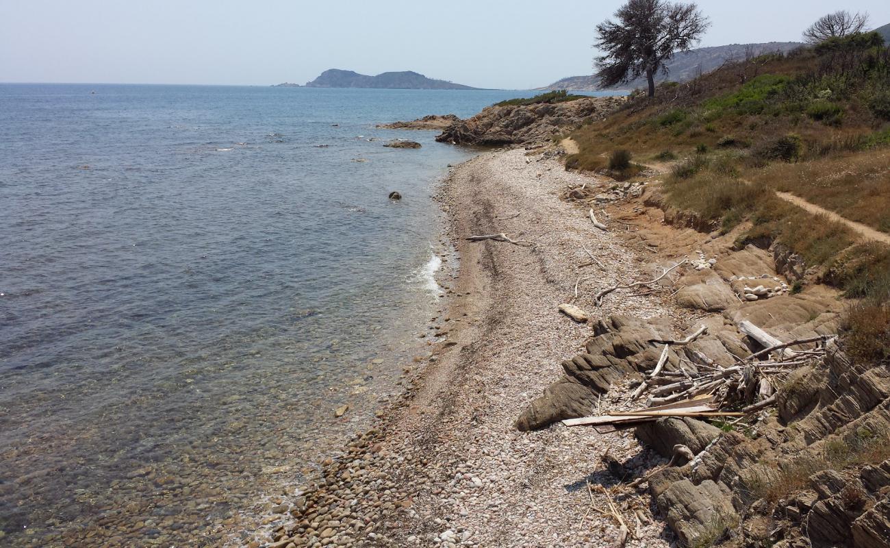 Photo of Quessine beach with rocks cover surface