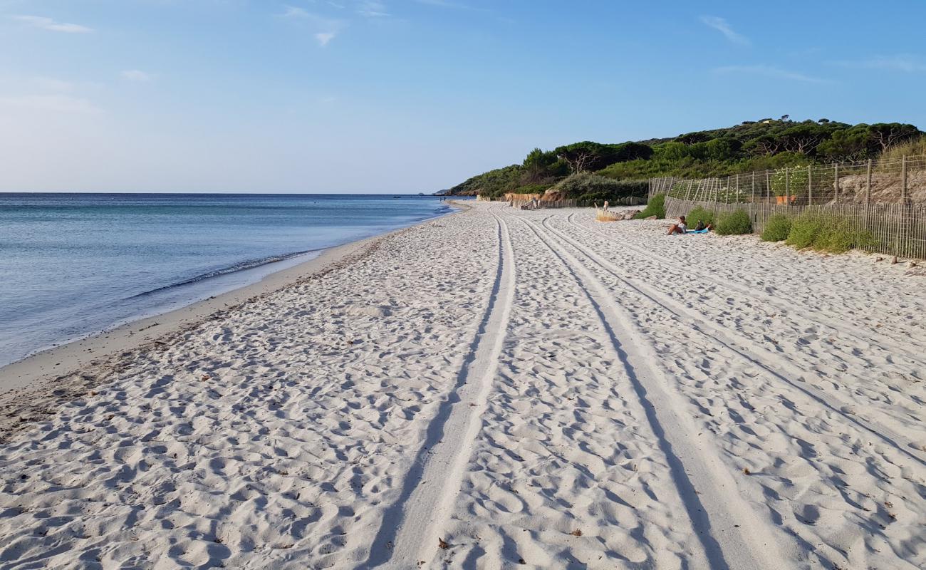 Photo of Salins beach with bright fine sand surface