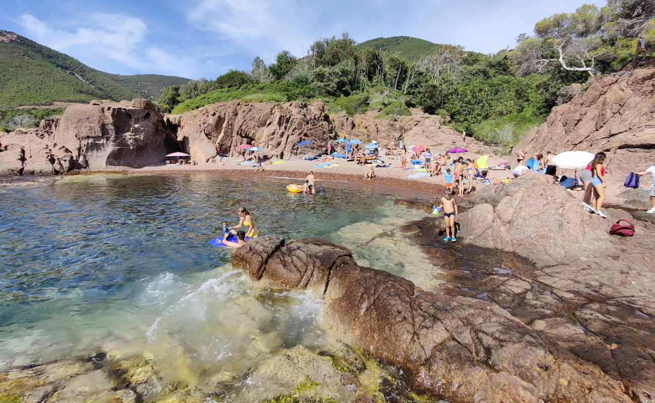 Photo of Plage de Maupas with brown pebble surface