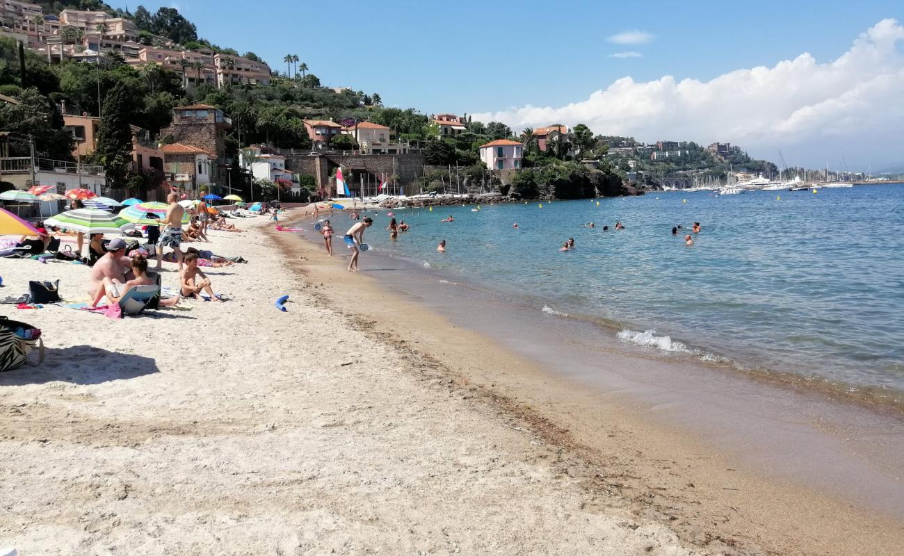 Photo of Suveret beach with bright sand surface