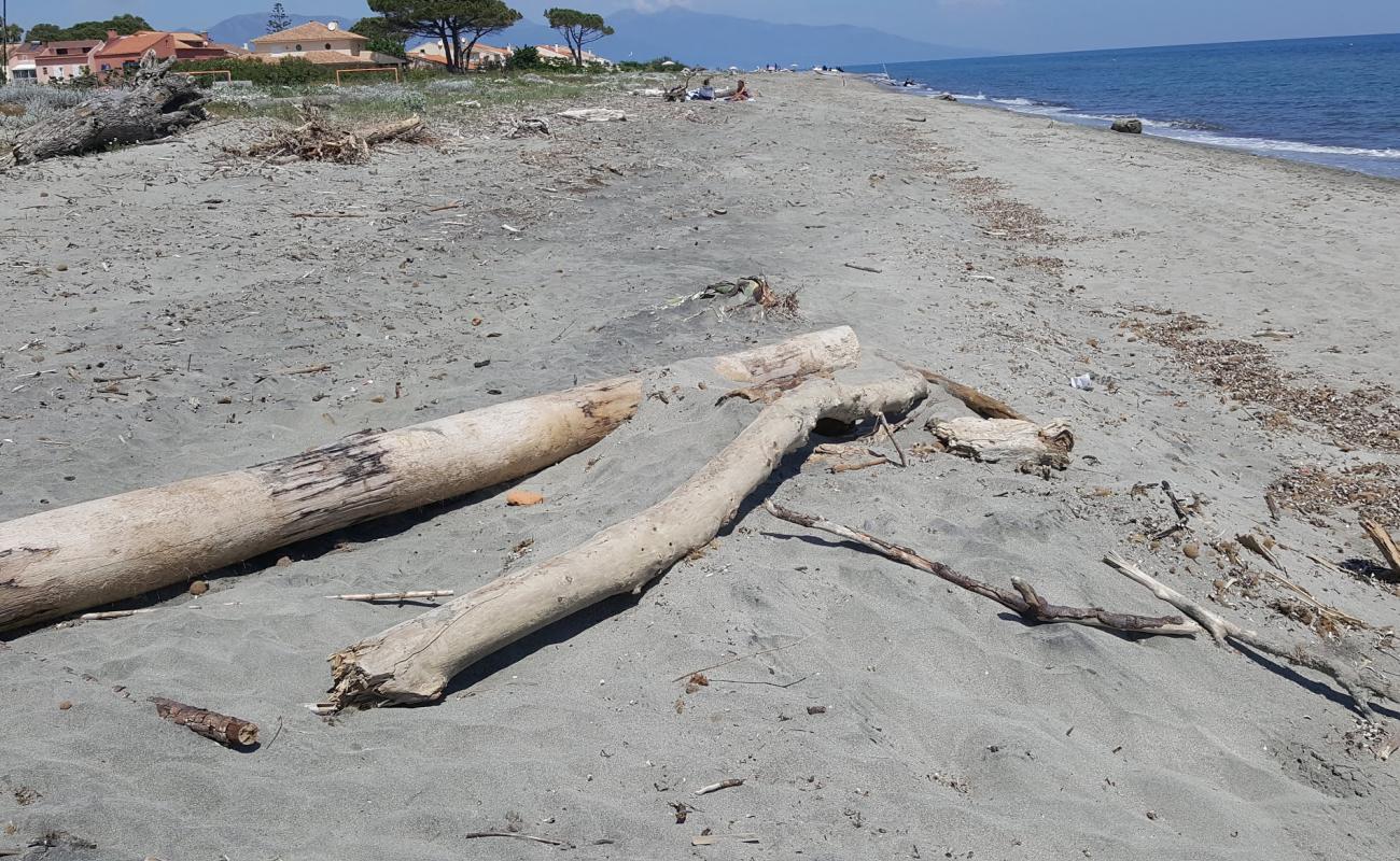 Photo of Plage de la Marana with bright sand surface