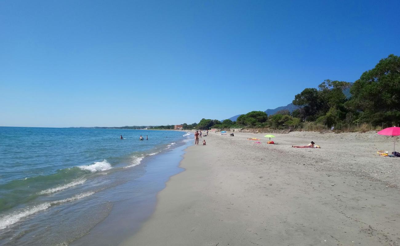 Photo of Ponticchio beach with bright sand surface