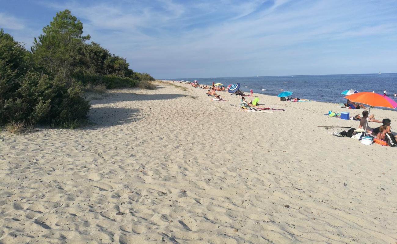 Photo of Plage Pinia with bright fine sand surface