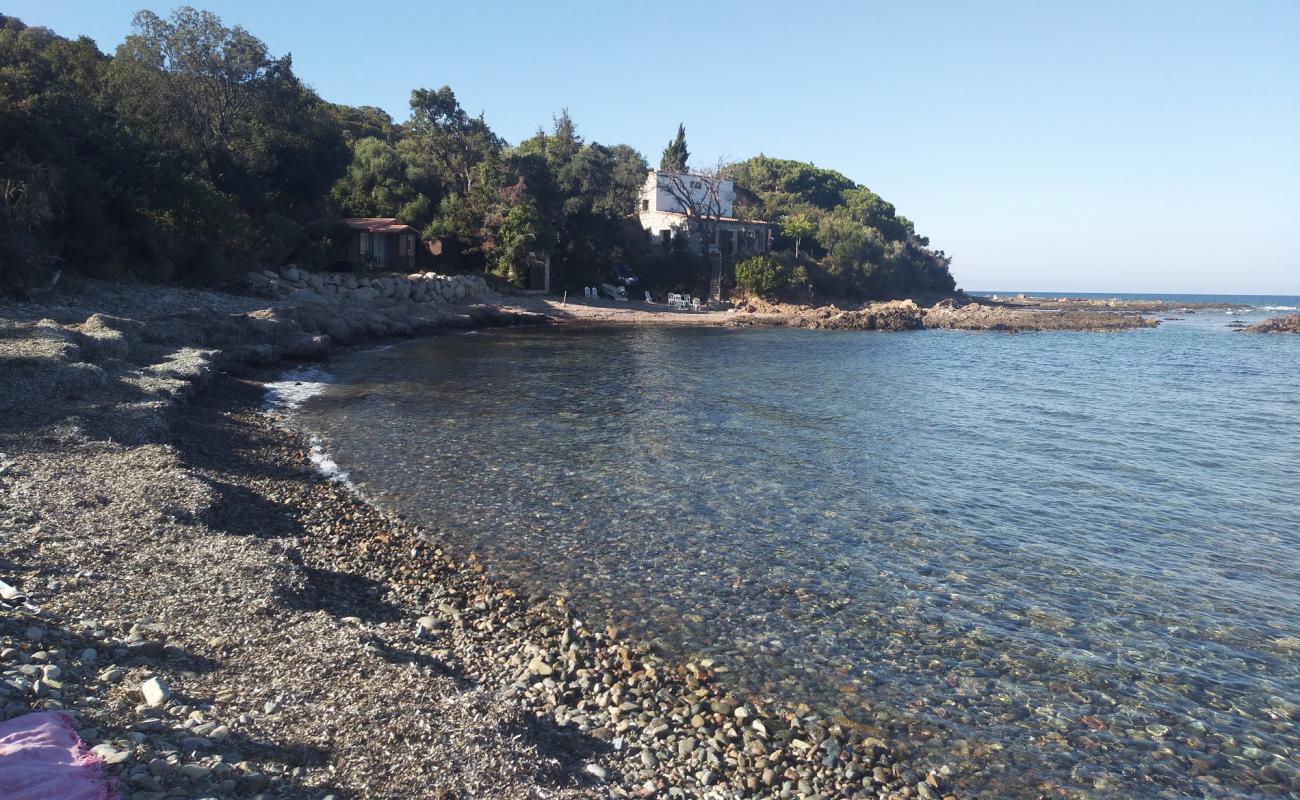 Photo of Plage Figa with gray pebble surface