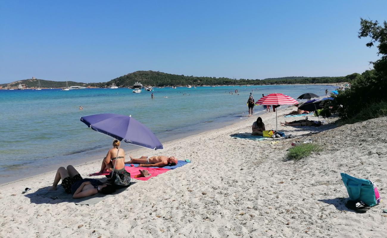 Photo of Pinarellu Beach with bright fine sand surface