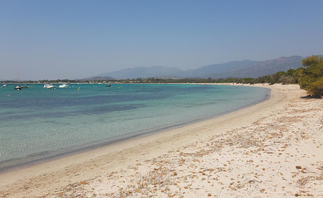 Photo of Plage de Pinarellu II with bright fine sand surface