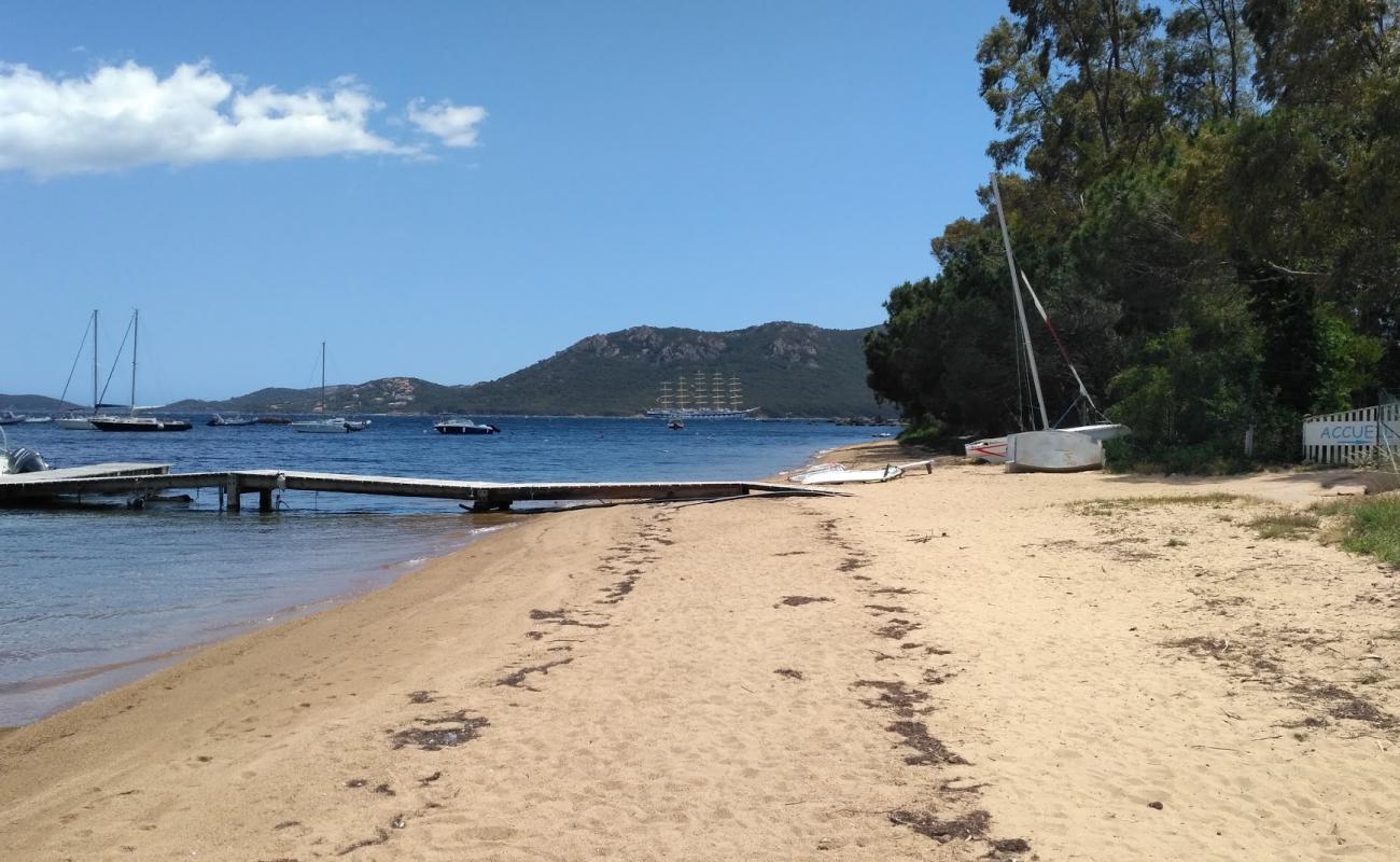 Photo of Plage Punta di Benedettu III with brown fine sand surface