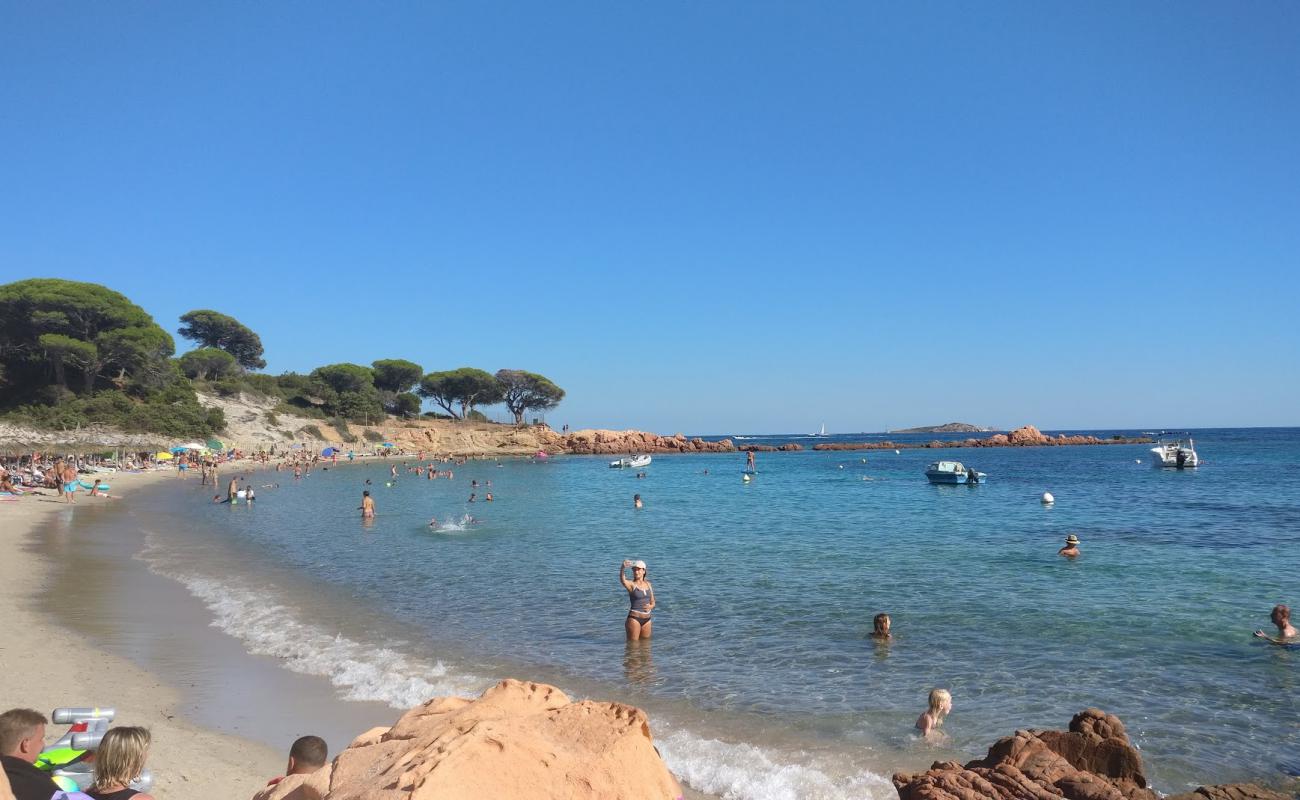 Photo of Palombaggia Beach with bright sand surface