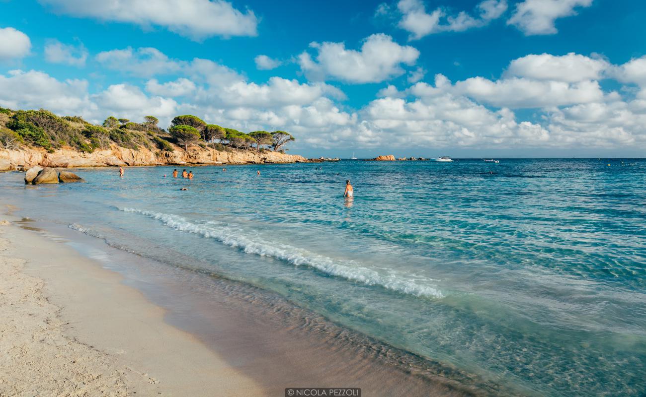 Photo of Plage d'Acciaju with bright sand surface