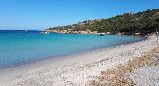 Plage De Porto-Novo