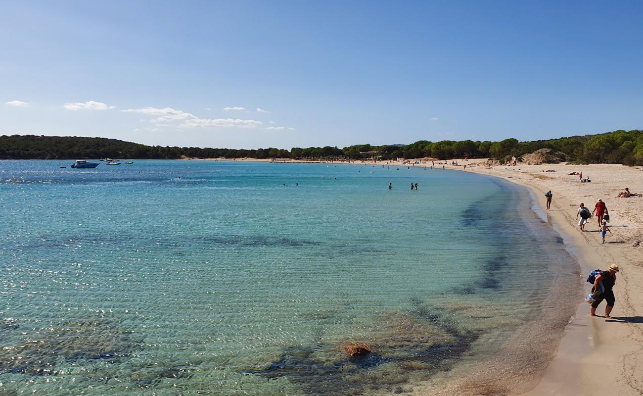 Photo of Rondinara Beach with bright sand surface