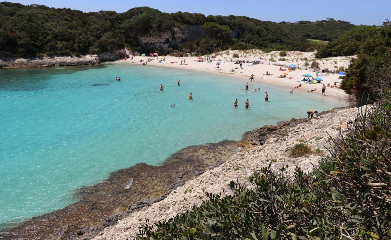 Photo of Petit Sperone beach with bright fine sand surface