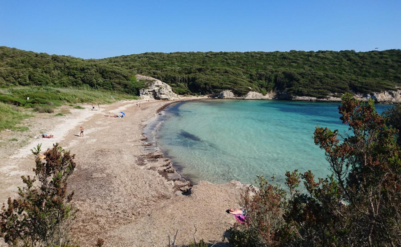 Photo of Paraguan beach with light pebble surface