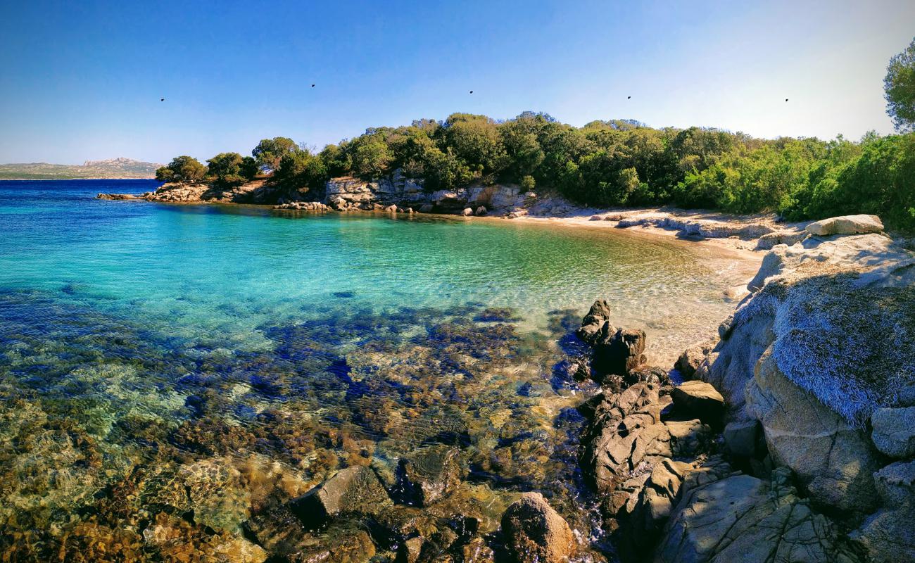 Photo of La Testa beach with bright sand surface