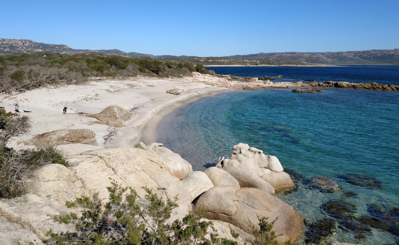 Photo of La Testa beach II with bright sand surface