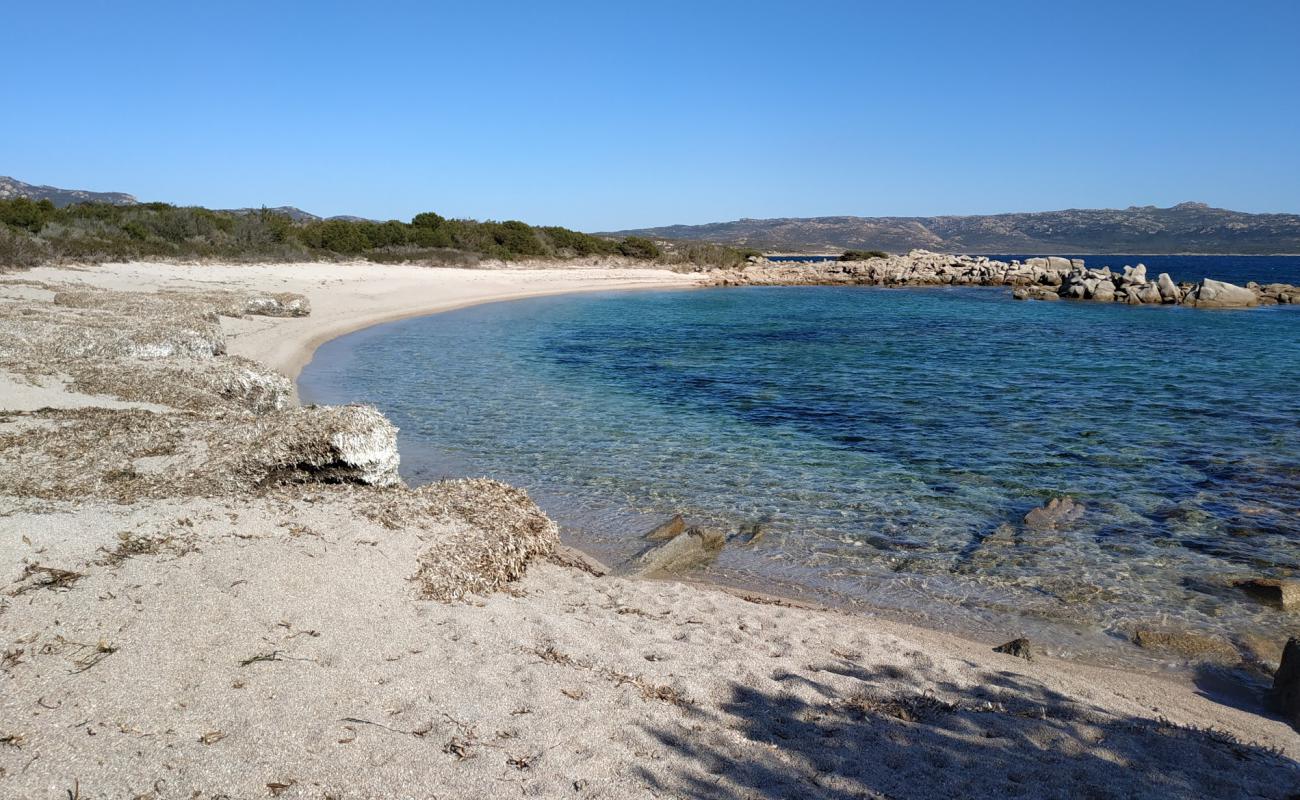 Photo of La Testa beach III with bright sand surface