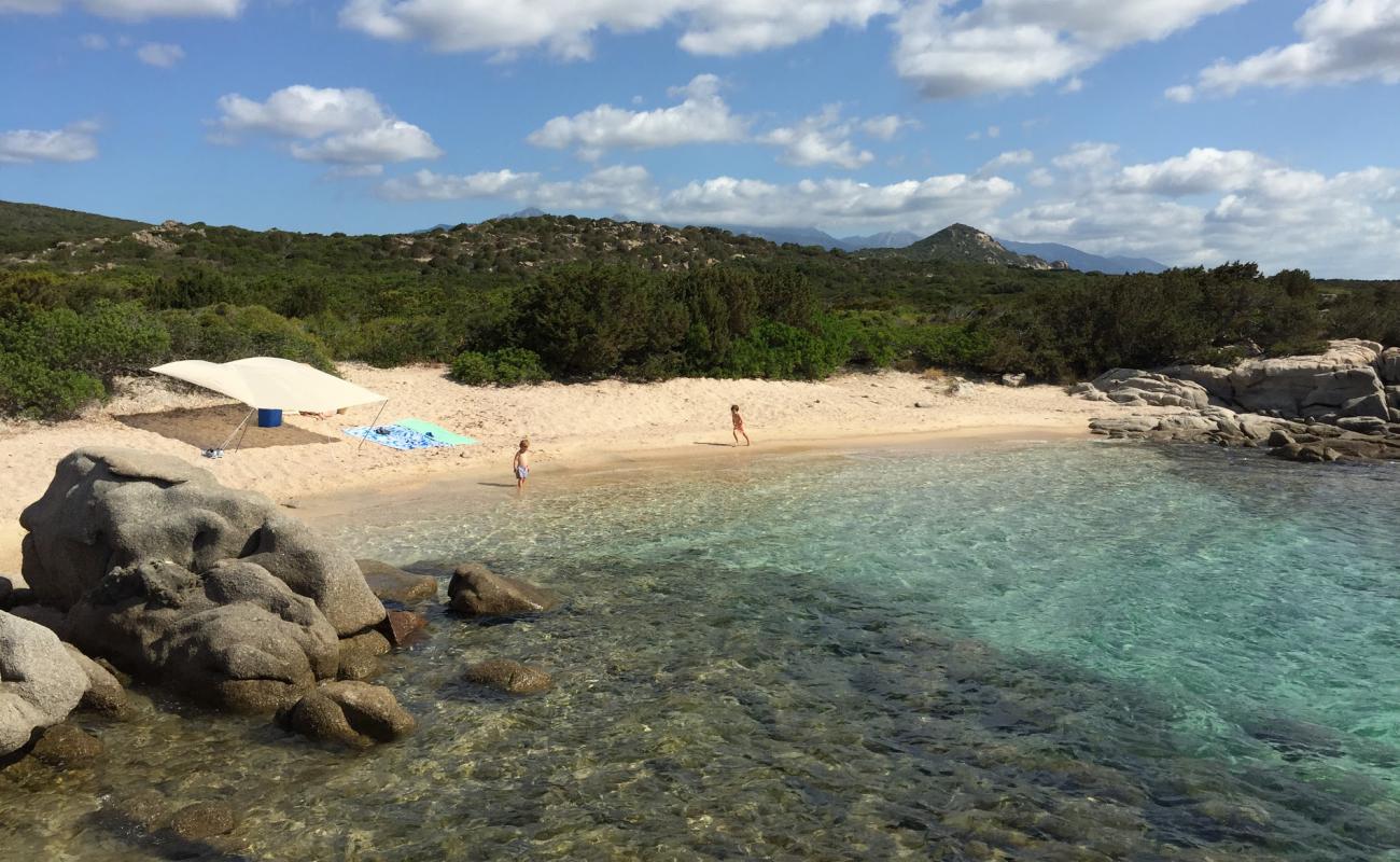 Photo of La Testa beach IV with bright fine sand surface