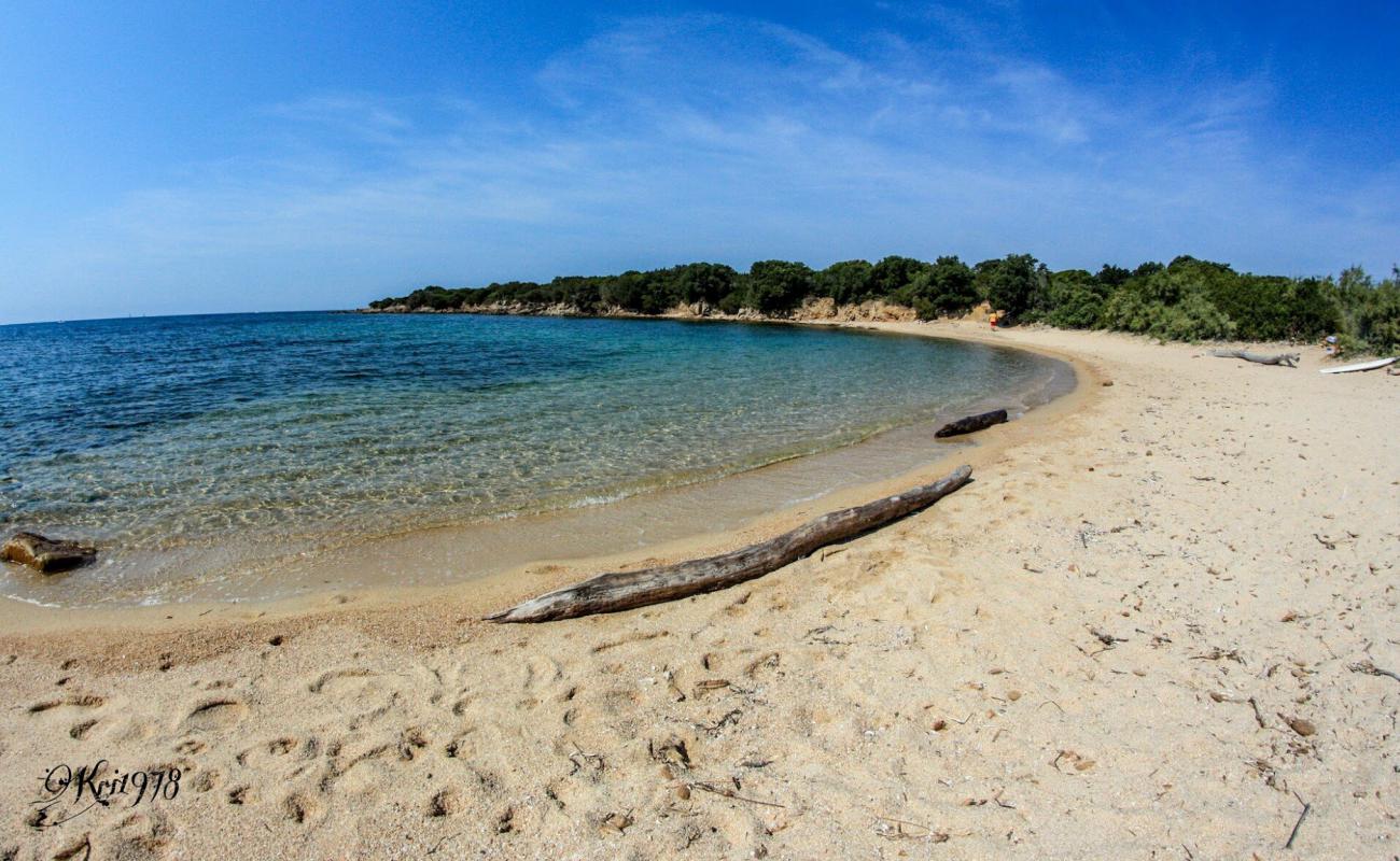 Photo of Arbitru beach with bright sand surface