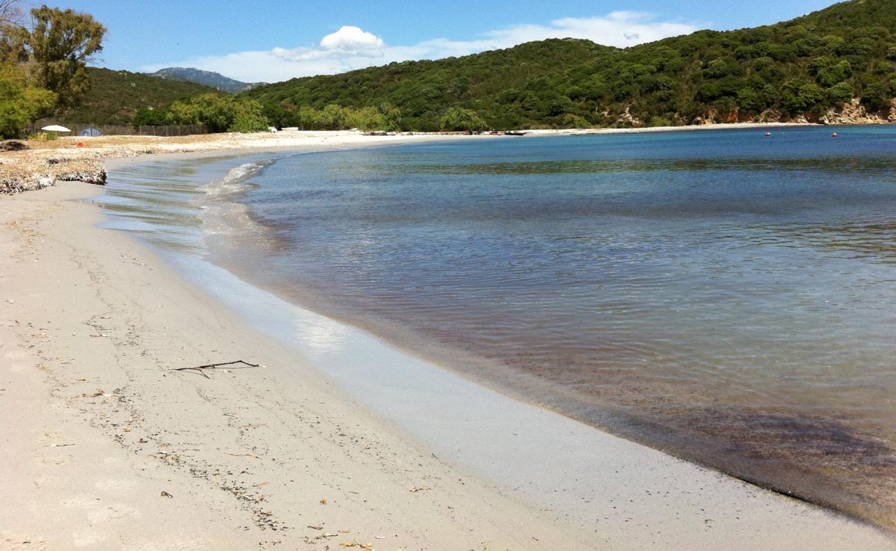 Photo of Plage de Furnellu II with bright sand surface