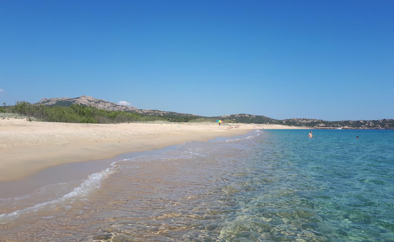 Photo of Tralicetu beach with bright fine sand surface