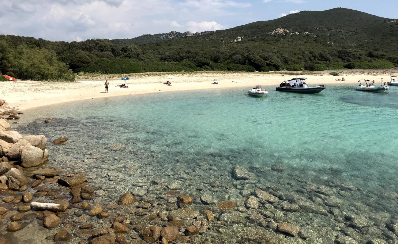 Photo of Cala di Conca with bright sand surface