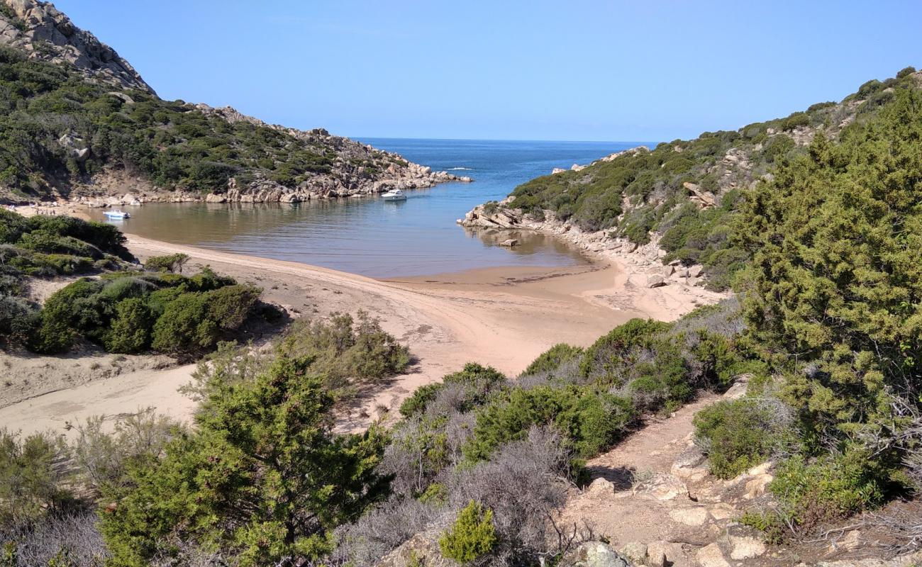 Photo of Cala D'agulia with bright fine sand surface