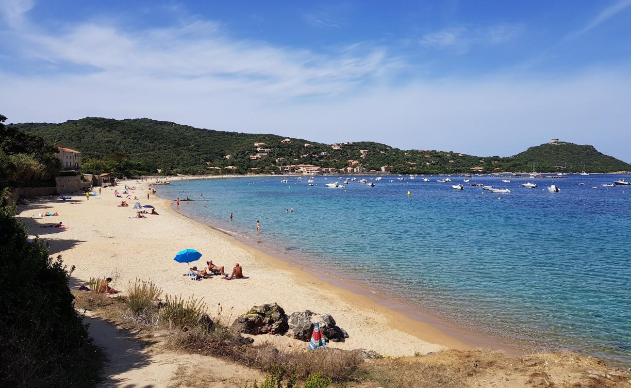 Photo of Campomoro Beach with bright sand surface