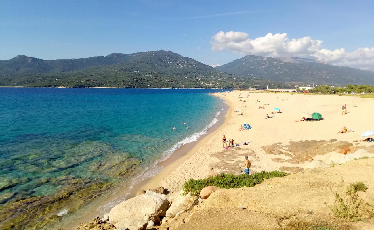 Photo of Purraja beach with bright fine sand surface