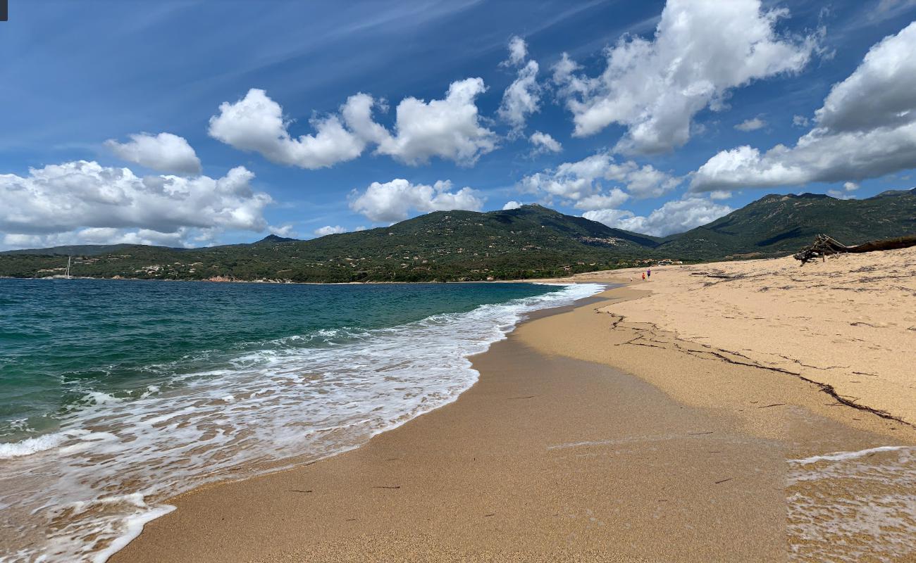 Photo of Baraci beach wild area