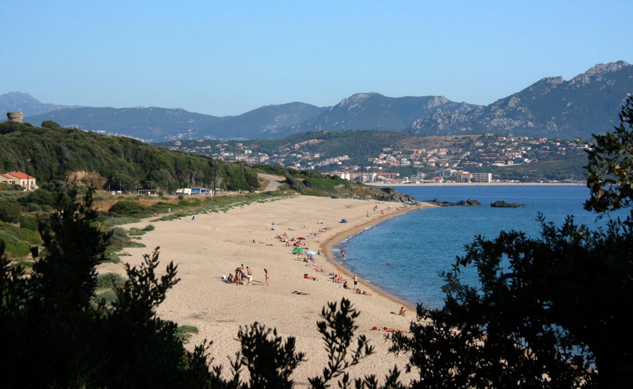 Photo of Aglio Camping beach with bright fine sand surface